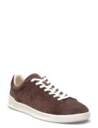 Suede-Hrt Crt Ii-Sk-Ltl Matalavartiset Sneakerit Tennarit Brown Polo R...
