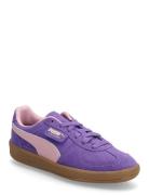 Palermo Jr Sport Sneakers Low-top Sneakers Purple PUMA