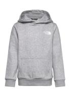 Teen Simple Dome Hoodie Sport Sweat-shirts & Hoodies Hoodies Grey The ...