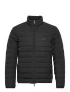 Down Jacket Vuorillinen Takki Topattu Takki Black Emporio Armani