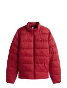 Mid Weight Stand Collar Jkt Vuorillinen Takki Topattu Takki Red Tommy ...
