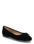 Jayna Iii Velvet Flat Matalapohjaiset Kengät Black Lauren Ralph Lauren