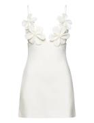 Ingrid Flower Full Cup Dress Lyhyt Mekko White Bardot