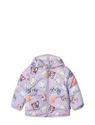 Harmony Toppatakki Purple Molo