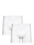 Organic Cotton Stretch Boxer 2P Bokserit White Björn Borg
