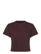 Borg Cropped T-Shirt Tops T-shirts & Tops Short-sleeved Brown Björn Bo...
