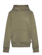 Po-Pull-Over Hoody Tops Sweat-shirts & Hoodies Hoodies Green Levi's