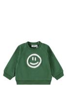 Disc Tops Sweat-shirts & Hoodies Sweat-shirts Khaki Green Molo