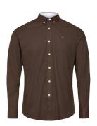 Oxford Stretch Plain L/S Tops Shirts Casual Brown Clean Cut Copenhagen