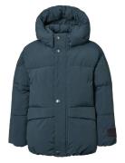 Hayden Toppatakki Navy Molo