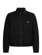 M Painter Jacket Canvas Ohut Takki Black Dickies