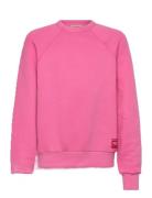 Brifht Pink Shark Sweatshirt Tops Sweat-shirts & Hoodies Sweat-shirts ...
