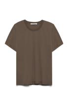Siru Tops T-shirts & Tops Short-sleeved Brown Tiger Of Sweden