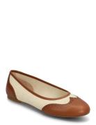 Jayna Wingtip Ballet Flat Ballerinat Brown Lauren Ralph Lauren