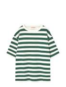 Stripes Freen Collie T-Shirt Tops T-shirts Short-sleeved Green THE ANI...