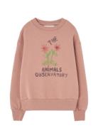 Flowers Dusty  Bear Sweatshirt Tops Sweat-shirts & Hoodies Sweat-shirt...
