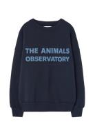 Navy Leo Sweatshirt Tops Sweat-shirts & Hoodies Sweat-shirts Navy THE ...