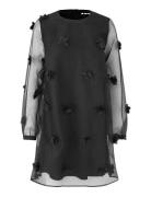Molli Ls-M Lyhyt Mekko Black MbyM
