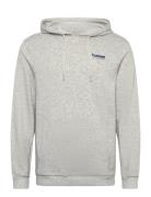 Hmllgc Austin Hoodie Sport Sweat-shirts & Hoodies Hoodies Grey Hummel